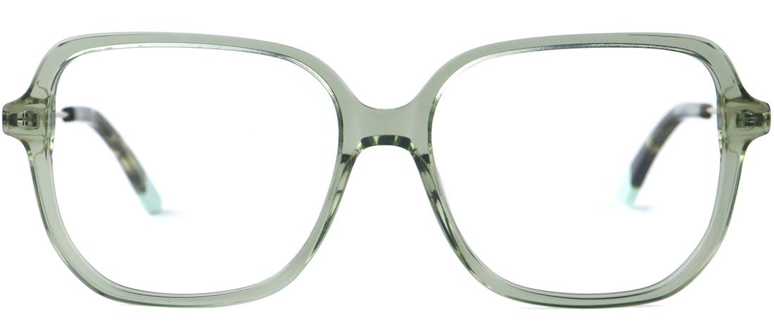 OSA217_C1